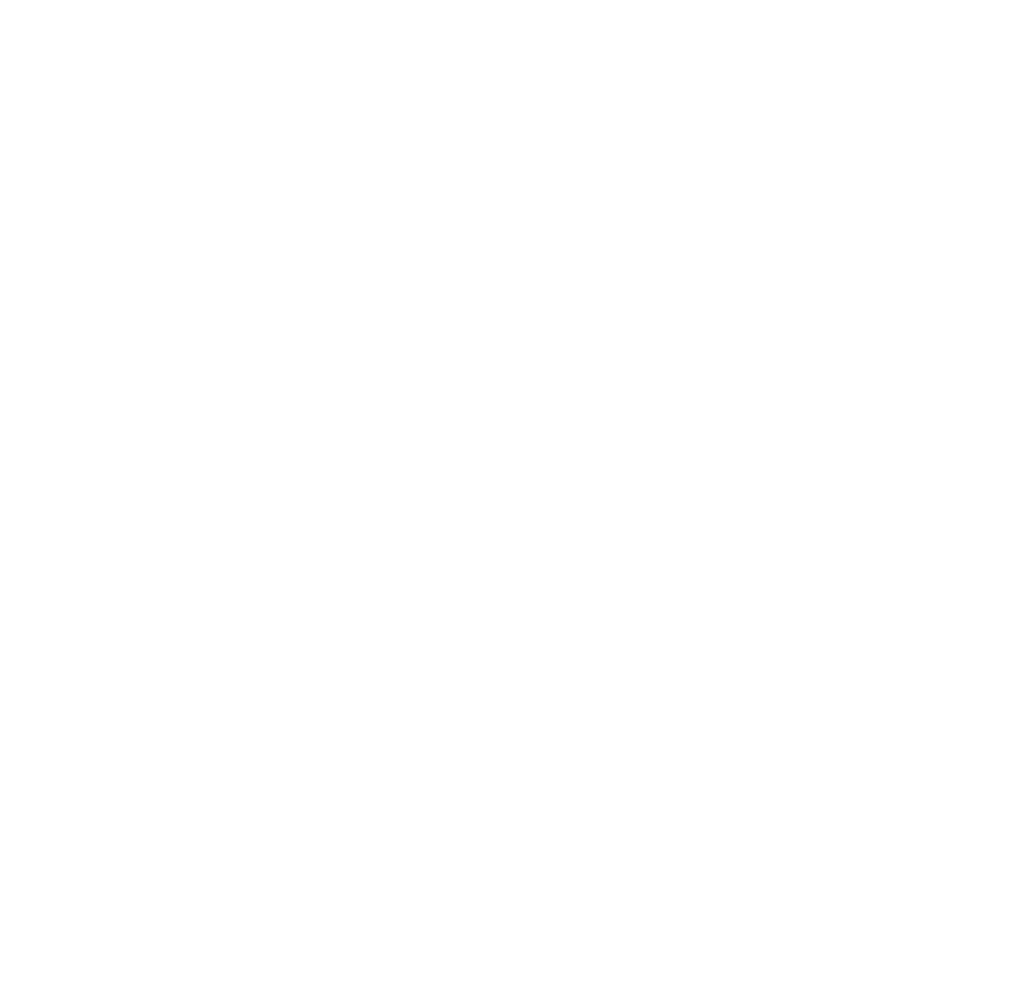Republic of Türkiye Logo