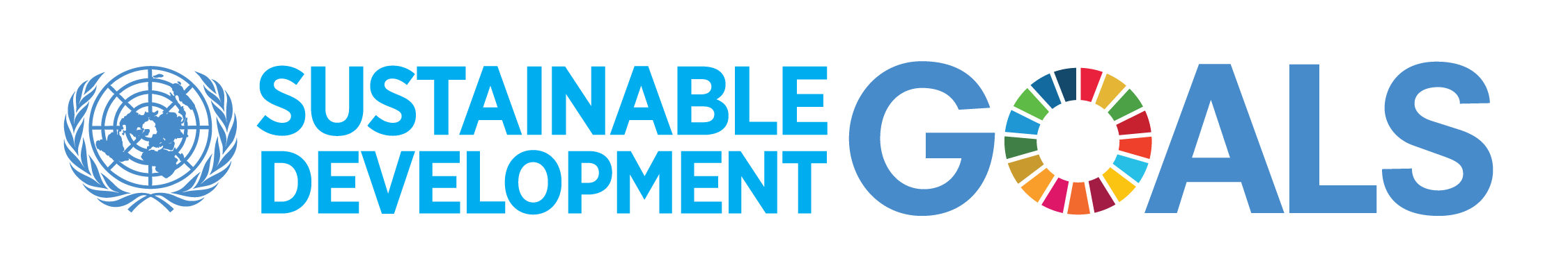 SDG Banner